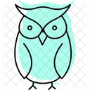 Owl Bird Night Icon