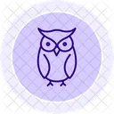 Owl Bird Night Icon