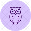 Owl Bird Night Icon
