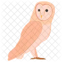 Owl Bird Wisdom Icon