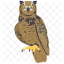 Owl  Icon