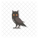 Owl Bird Animal Icon
