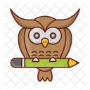 Owl  Icon