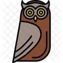 Owl Bird Eyes Icon