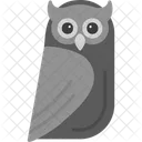 Owl Bird Eyes Icon