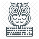 Owl Keyboard Online Education Online Education Owl Keyboard Icon