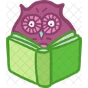 Owl Reading Book  Icon