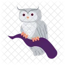 Owl Cartoon Owl Sitting Bird Of Prey Icon