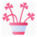 Oxalis Icon