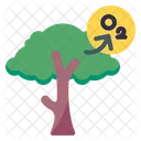 Oxigen Oxygen Tree Icon