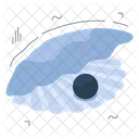 Oyster Pearl Shell Bivalve Icon
