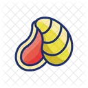 Oyster Food Drink Icon