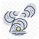Oyster Food Shell Icon