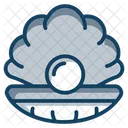 Nacre Shell Oyster Icon