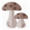 Oyster Fungi Mushroom Icon