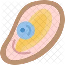 Oyster Mollusk Shell Icon
