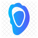 Oyster Shell Link Shell Icon