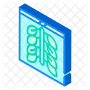 Oyster Farming Isometric Icon