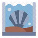 Oyster  Icon