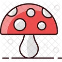 Oyster Mushroom  Icon