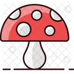 Oyster Mushroom  Icon