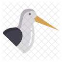 Oystercatcher Birds Bird Icon