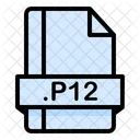 P 12 Datei P 12 Datei Symbol