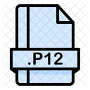 P 12 File P 12 File Icon