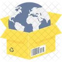 Package Global Earth Icon