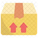 Package Post Icon