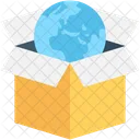 Package Box Globe Icon