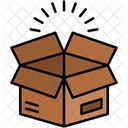 Package Box Cardboard Icon