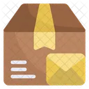 Package Box Cardboard Icon