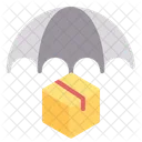 Package Insurance Protection Package Icon