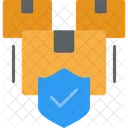 Protection Package Box Icon