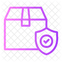 Package Security Protection Package Icon