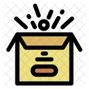 Packing Box  Icon