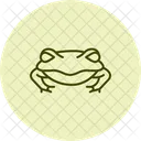 Pacman Frog Pacmanfrog Amphibian Icon