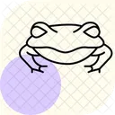 Grenouille Pacman Grenouille Pacman Amphibien Icône