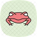 Sapo Pacman Sapo Pacman Anfibio Ícone