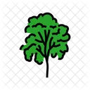 Padauk Tree Jungle Icon