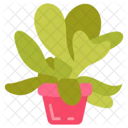 Paddle plant  Icon