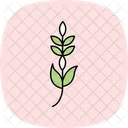 Paddy Fork Shadow Icon