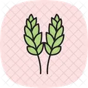 開花した稲 アイコン