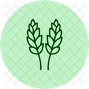 Paddy In Bloom Paddy Bloom Icon
