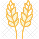 Paddy In Bloom Paddy Bloom Icon