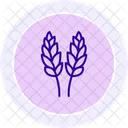 Paddy In Bloom Paddy Bloom Icon