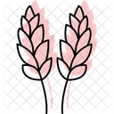 Paddy In Bloom Paddy Bloom Icon