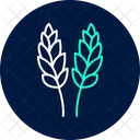 Paddy In Bloom Paddy Bloom Icon