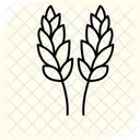 Paddy In Bloom Paddy Bloom Icon